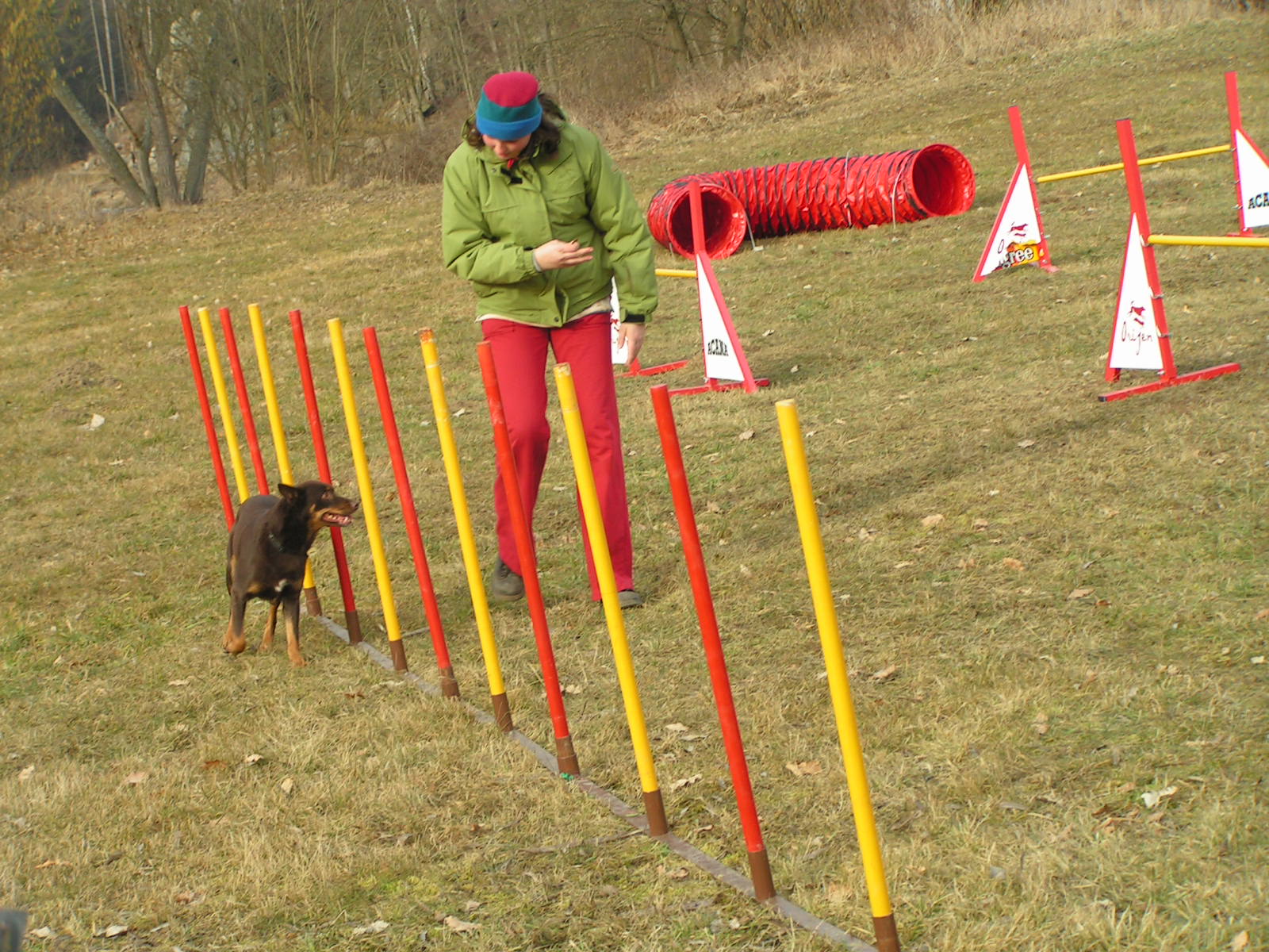 SLALOM
